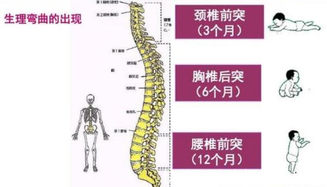 颈椎|孩子一生仅一次脊柱发育黄金期，父母做错这些事，影响身高和气质