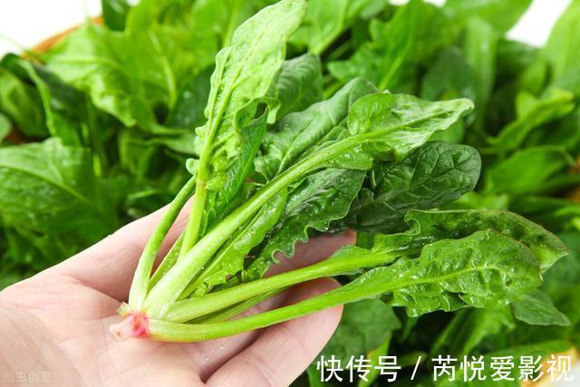 纤维素|尖叶菠菜和圆叶菠菜有什么区别?老菜农来告诉你,不懂可别瞎买
