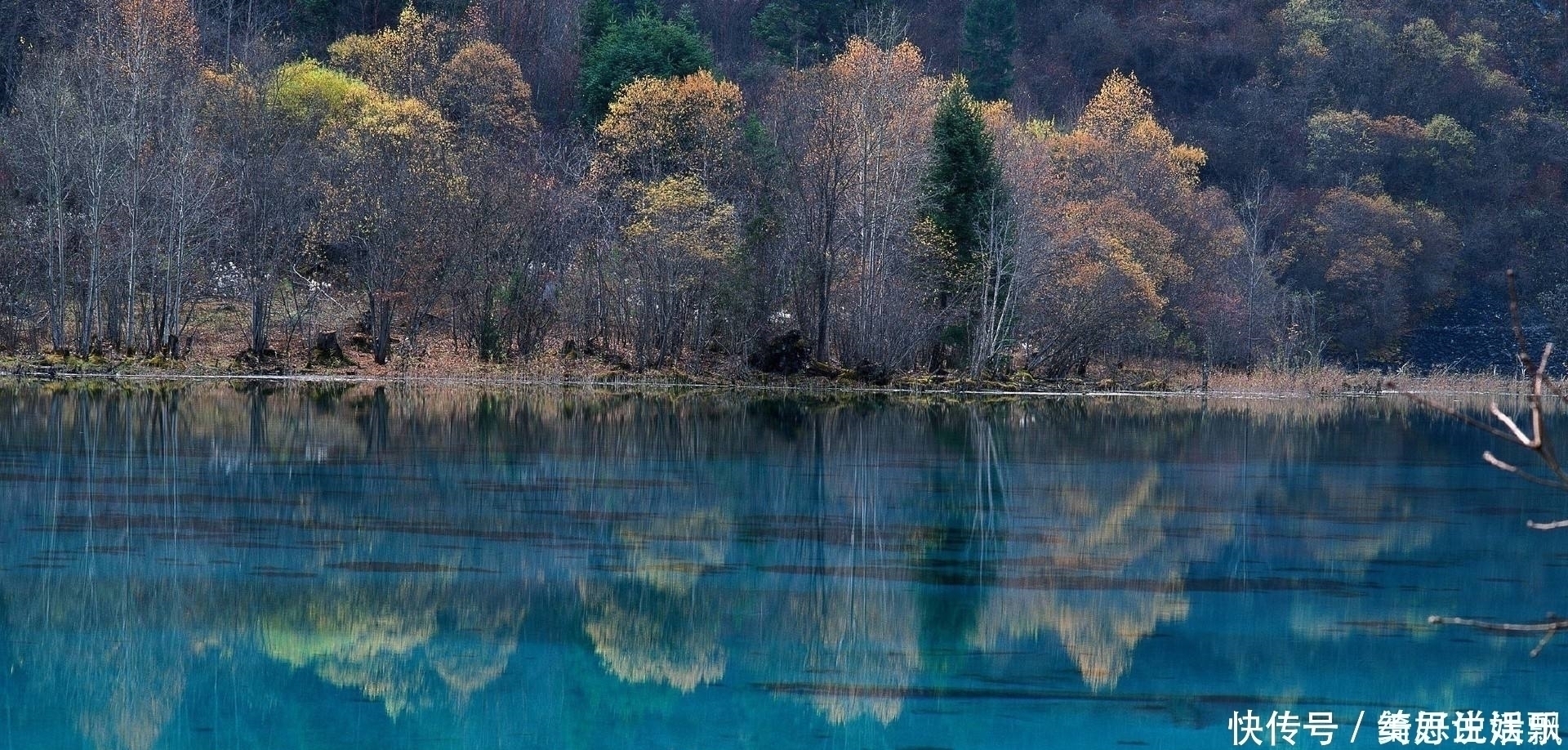 青玉案&50句美到极致的古诗词,每一句都饱含深情,总有一句击中你的内心
