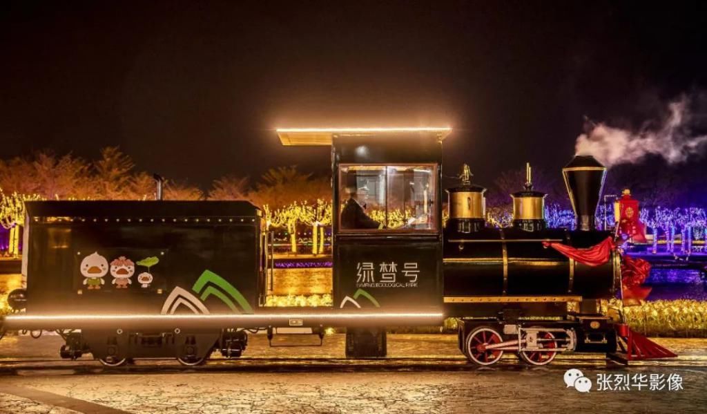 老年|投资500万的观光绿皮火车来了沿途观赏湖光水色