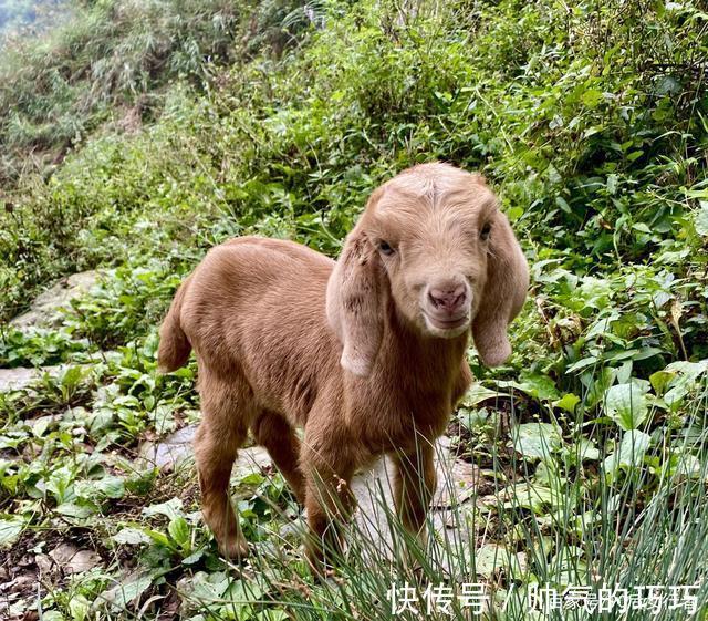 碎石公路|距成都80多公里有处冷门徒步胜地，风景原始，古道沧桑古庙深藏