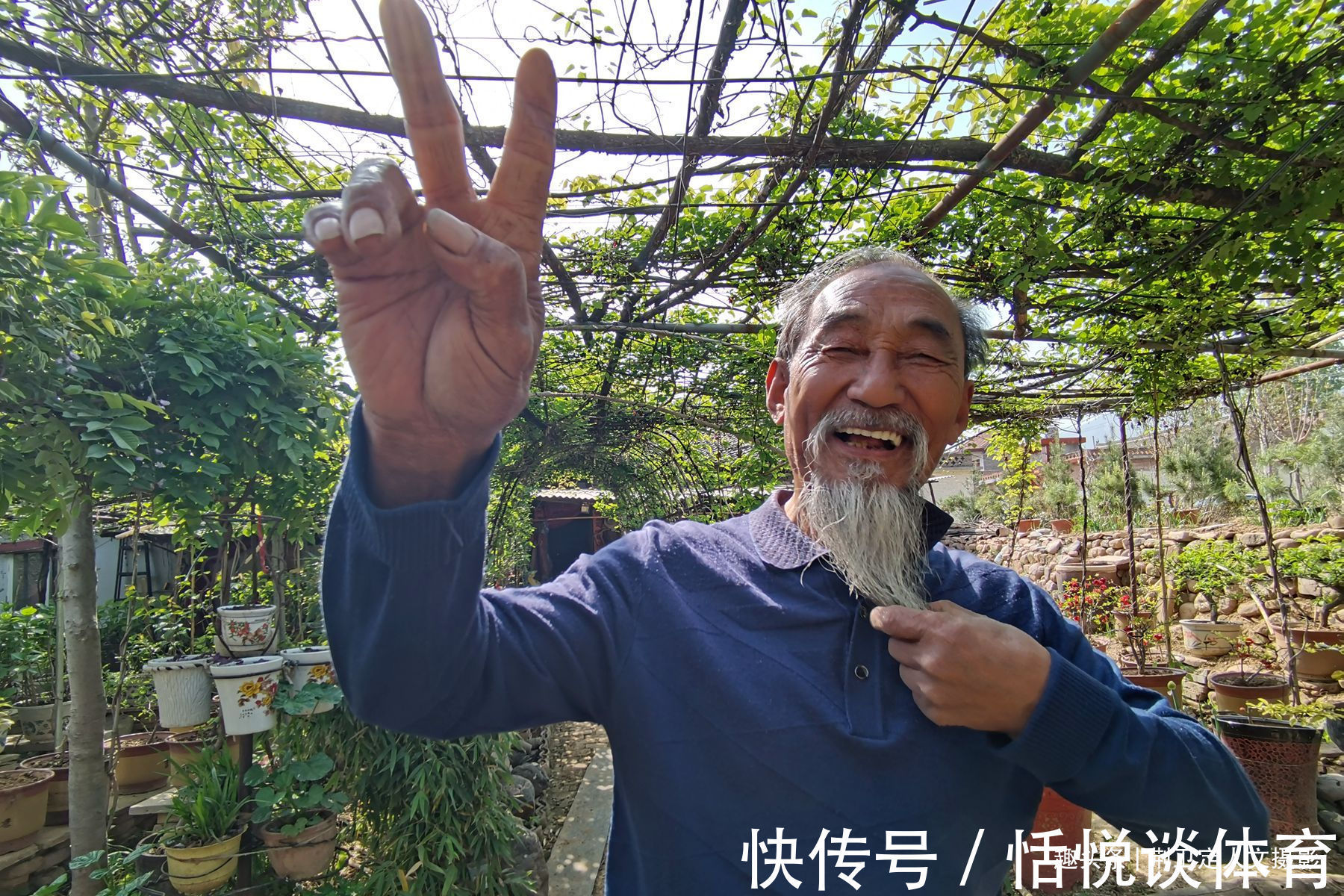 小花园|7旬老人在山中迷路获得“鬼见愁”，做成龙头拐，2万不卖