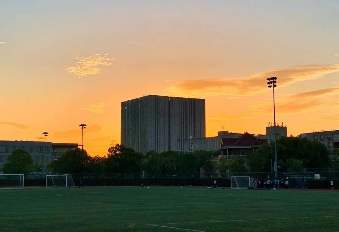 古城|春到同济！太（you）爱（fu）了（li）！