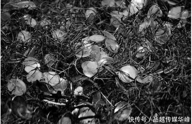 国内|希特勒为何找犹太人的麻烦?三点原因外加小道消息,告诉你答案!