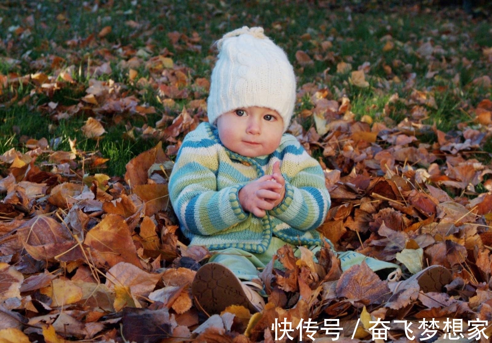 女婴|生男生女的概率是1:1吗?为什么有人生的都是女孩?