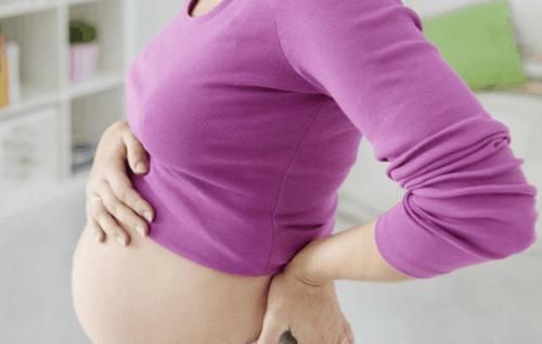 卵子|决定宝宝性别的到底在那一刻 别瞎猜, 你想知道的都在这