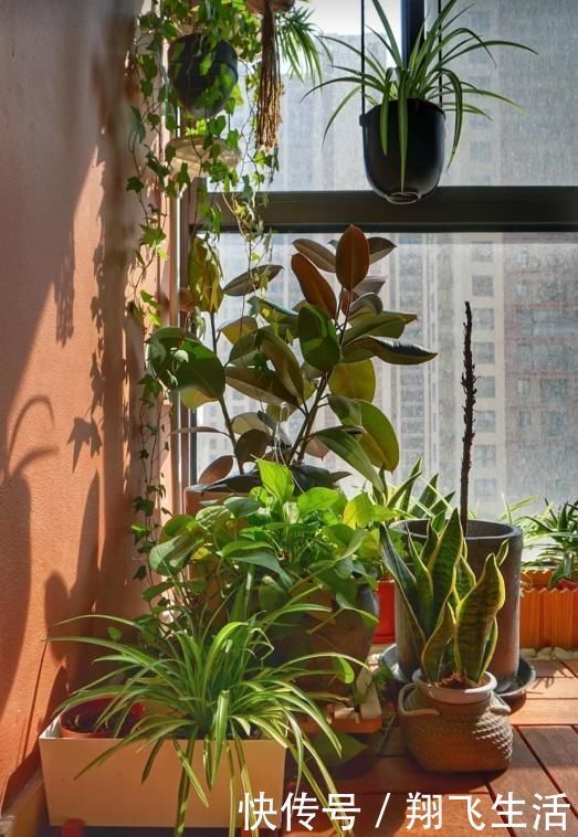 晾晒|阳台再小,也别乱装!这么装能“一屋三用”,太聪明了!