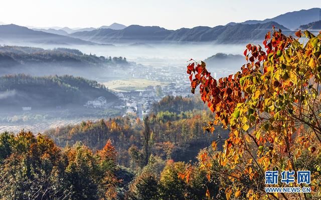 晨雾薄如轻纱，安徽潜山田园绚丽缤纷，静美如画|图说 | 平流雾