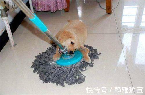 氟利昂|分享几个勤俭节约的小妙招,一天轻松节省几十元,不是忽悠你