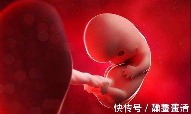 超声检查|胎儿畸形这几周是危险期,只要熬过去,孕妈就可松口气了