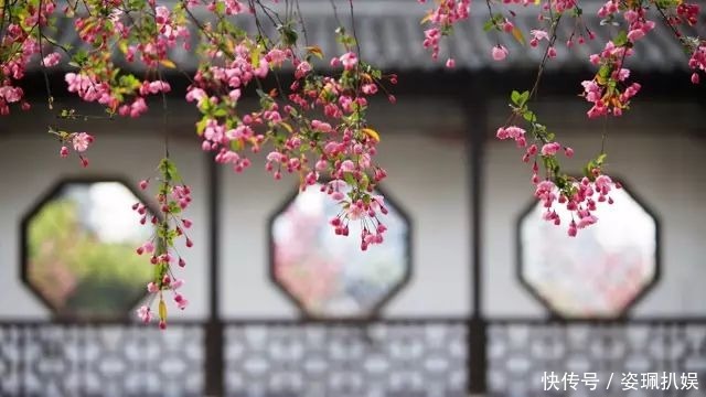  玲珑|一科状元，二朝帝师，三面玲珑的军机大臣，为何最后革职