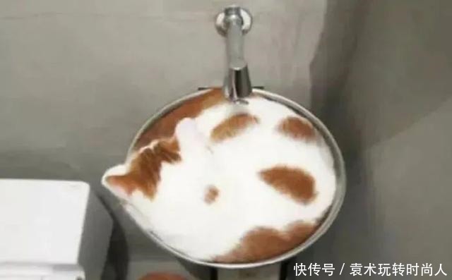 图片|20张“奇特”的图片,看错一半的人,一定是个吃货