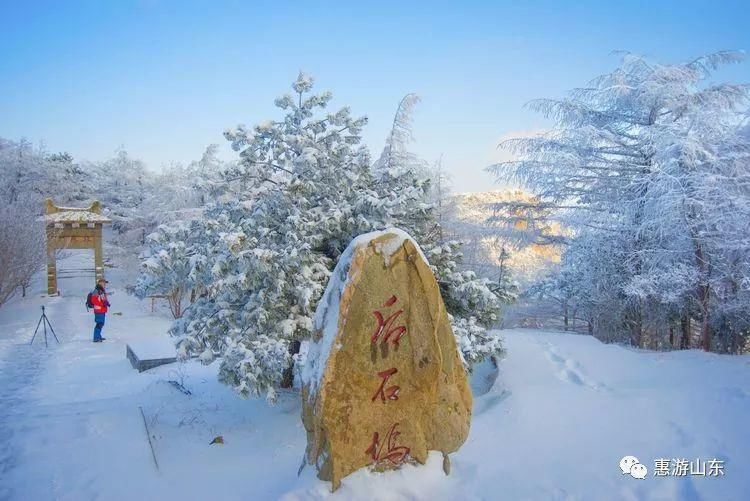 泰山银装素裹后石坞，雪松玉树赛仙境！