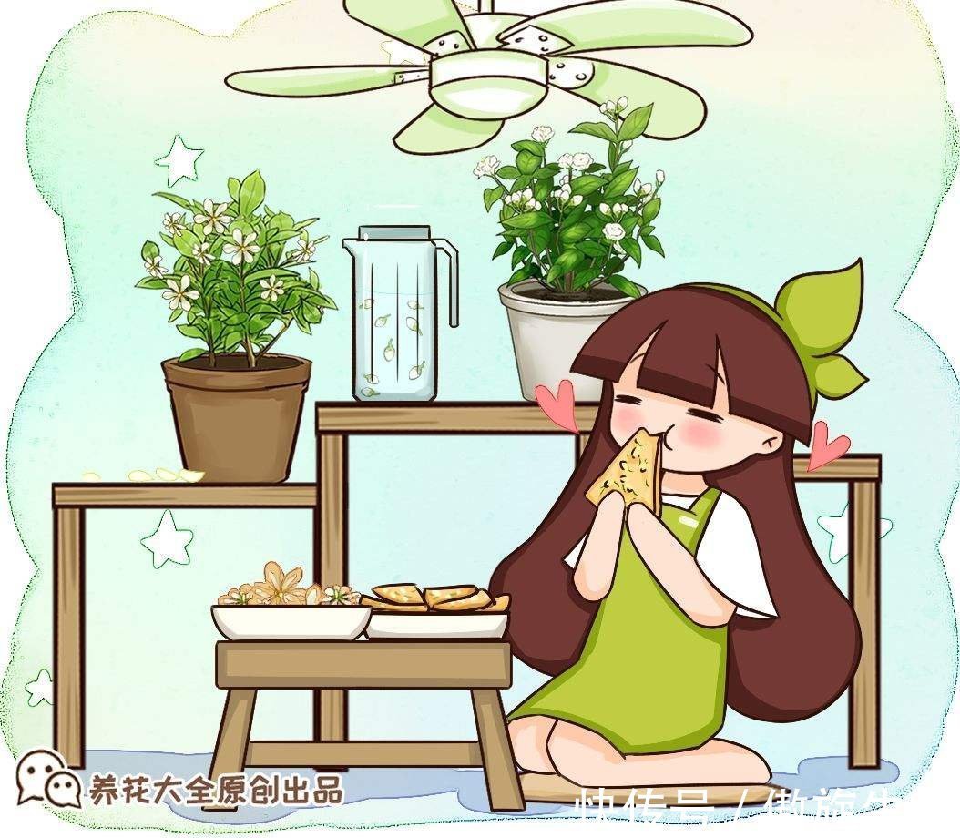 多菌灵|养花一定要知道的事!掌握正确通风方法,家里植物长得好