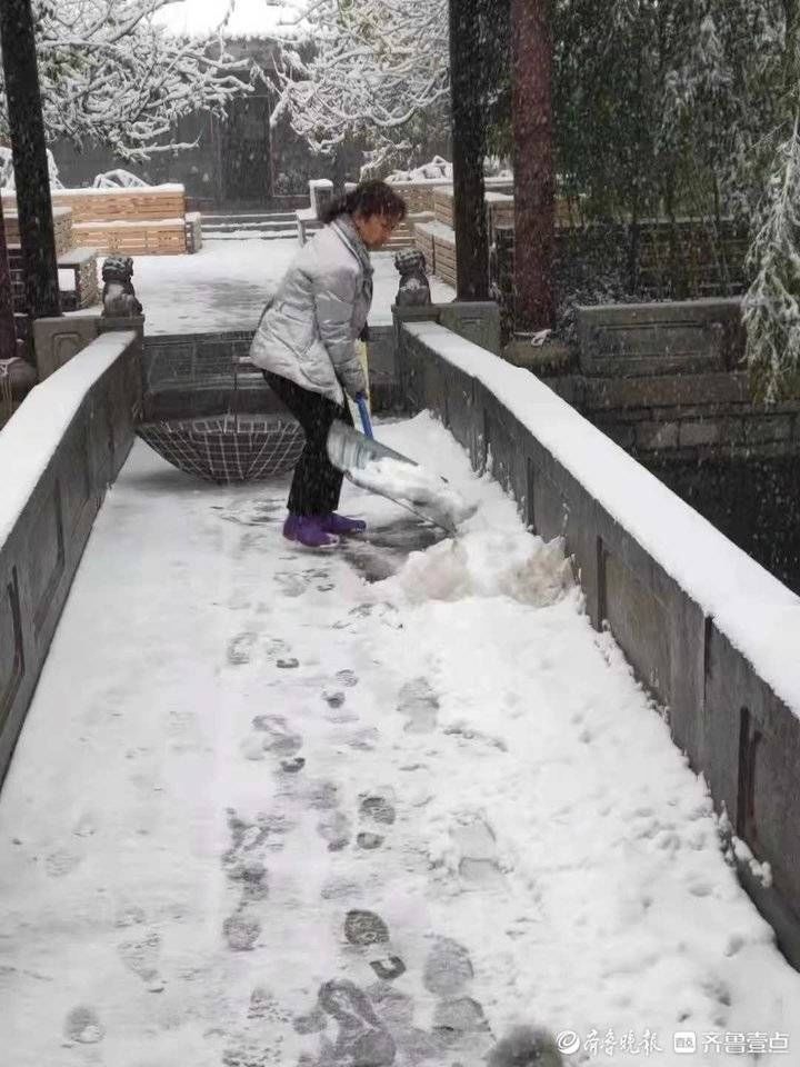 百菊赛|暴雪来临，济南天下第一泉风景区应急处置雪情