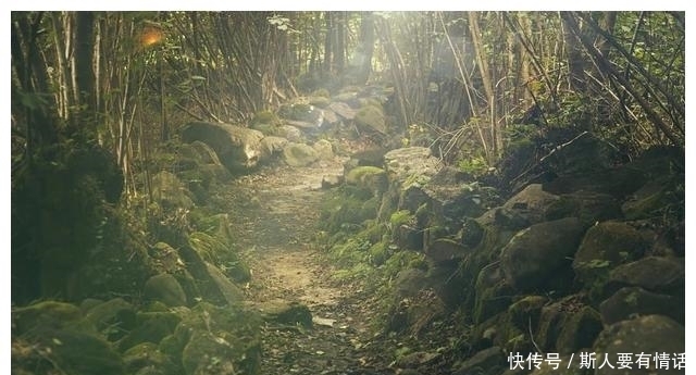 最厉害的3个上升星座女,性格极为刚毅,做事