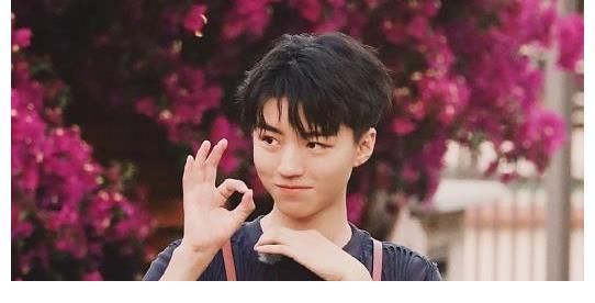 黄晓明|赵丽颖王俊凯空降《中餐厅》，亮相方式很心酸，没常驻节目真可惜