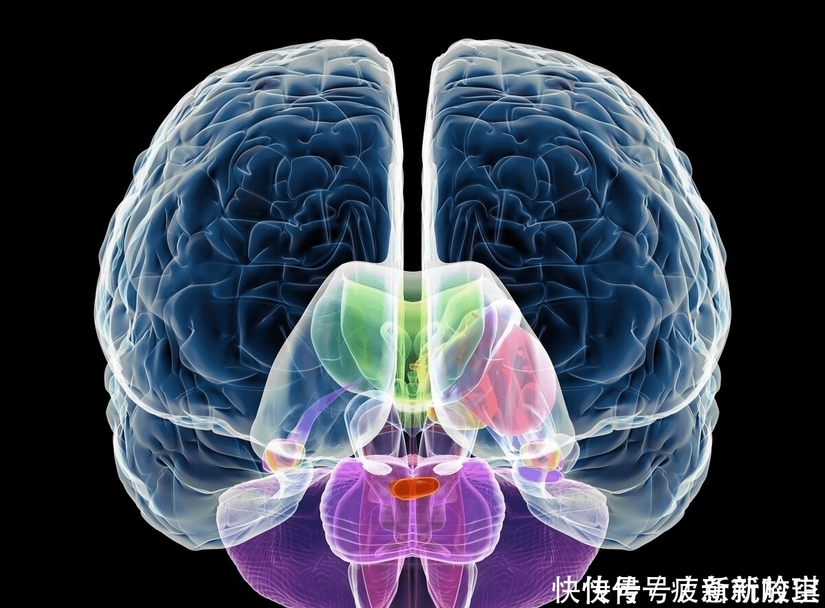 孩子|母乳或奶粉喂养,会影响孩子大脑发育?是的,但关键不是营养成分