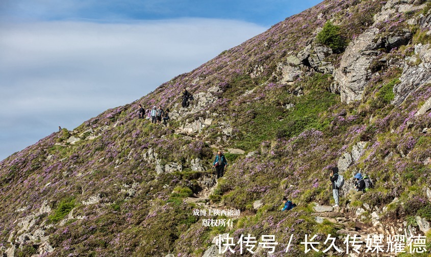 日出|雨中登太白山，见识到最美的秦岭风光：日落、日出、云海