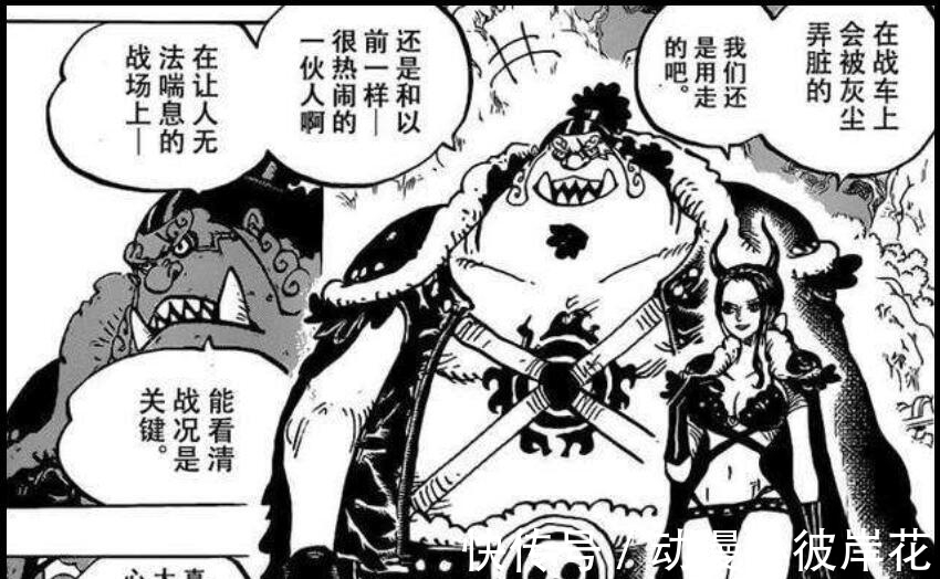 King|海贼王989话：索隆与King决战开始，罗宾挡住了bigmom