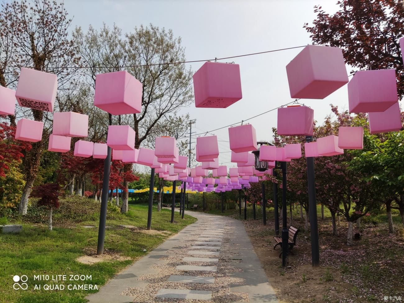 春季游览印象黄河景区