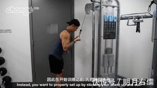 肱三头肌|手臂太细怎么练掌握这3点,“肱三头轰炸”练出麒麟臂