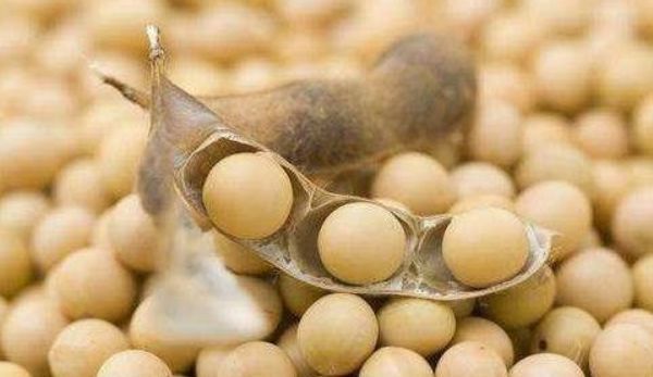 可溶性纤维|女性不愿早衰,推荐多吃3种食物,滋阴补气、补血补肾