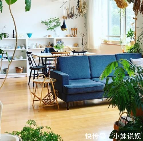 日本人|这对日本夫妇,把小家布置得温馨自然,小户型却有岁月静好的模样