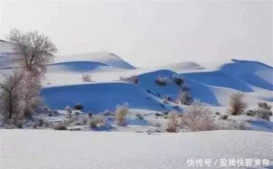 新疆|新疆，雪后的沙漠惊艳全国！