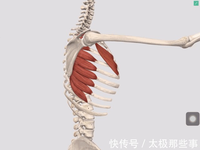 歹徒|練身秘密在這里