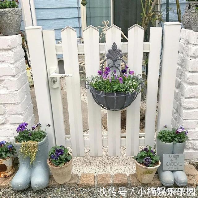 毛地黄|小空间花园打造指南丨四季开花不断，她是怎么做到的？