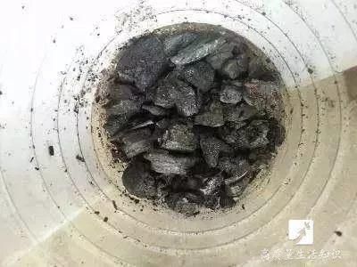 盆栽底下垫上这4种，告别“植物杀手”称号！