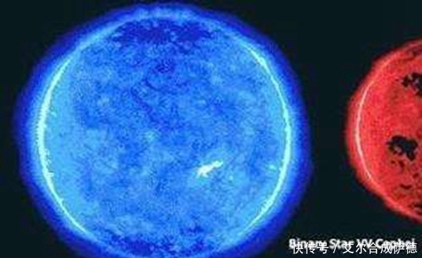 仙王座vv星有多大? 仙王座vv星具体构成
