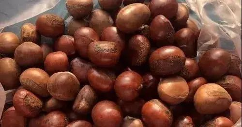 瘦肉煲|“秋果之王”来啦！补药一堆不如吃它几粒~