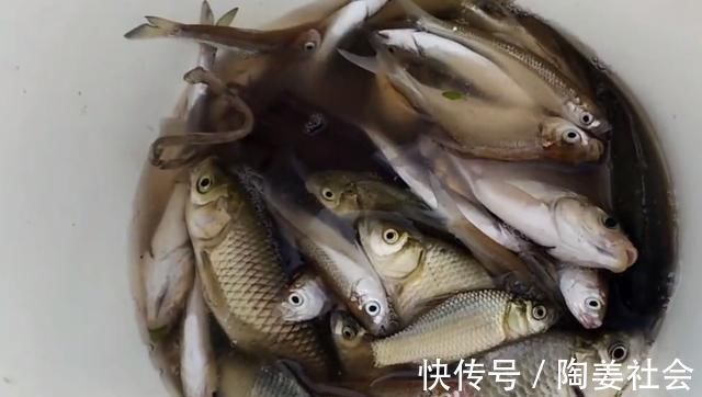 羡慕|钓鱼人苦中作乐,站在二楼钓鱼,网友羡慕又心疼