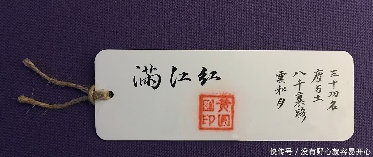 词人&史上最悲壮的一首《沁园春》,词人以身殉国,留下这首千古绝唱