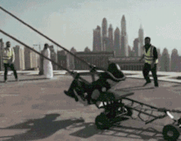 |搞笑GIF:家里养了宠物之后,连健身都没法好好进行了