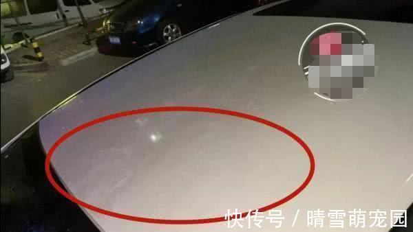 豪车|熊孩子破坏豪车，车主上门索要赔偿，打开门后：不用赔了