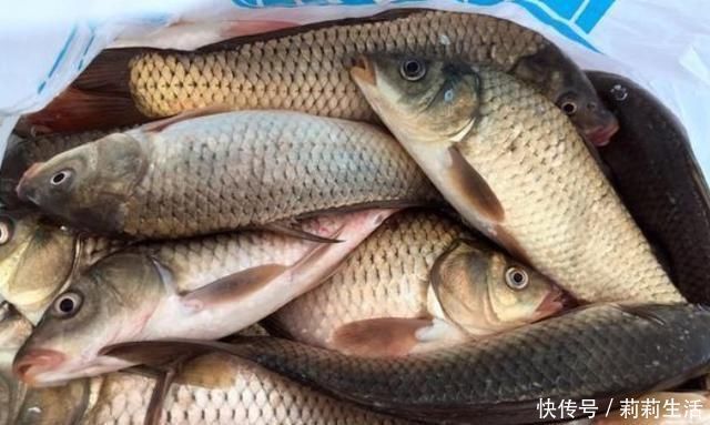 野钓打窝我绝不乱来牢牢记住这“八字诀”,不管在哪钓都能过瘾