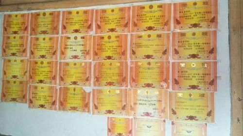 补课|家里一面墙贴满了娃的奖状,妈妈却开心不起来,是我也高兴不了