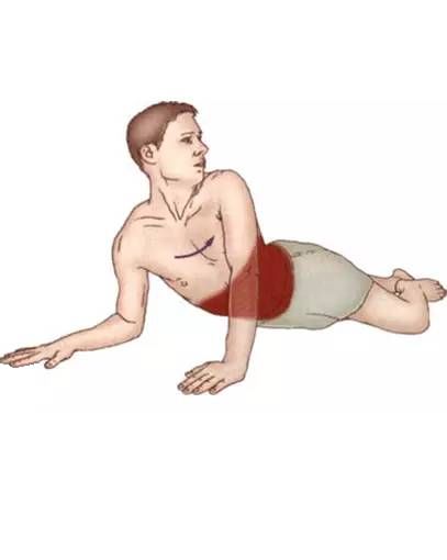 腹外斜肌|你要的拉筋，都在这里！