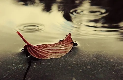 失眠|40岁的白居易想起初恋，半夜失眠，写出一场千年来最凄美的夜雨
