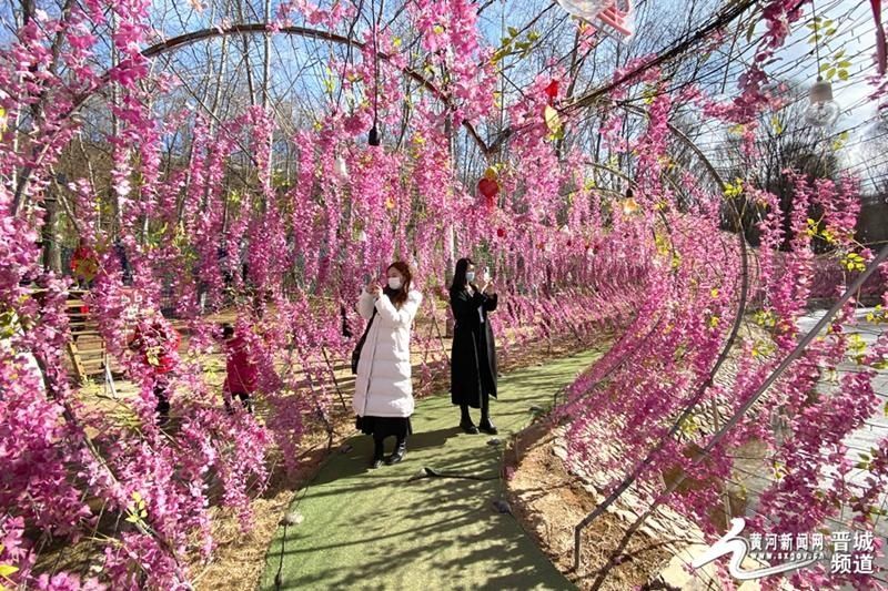 高平沟北村:寻梦小镇带旺春节乡村游