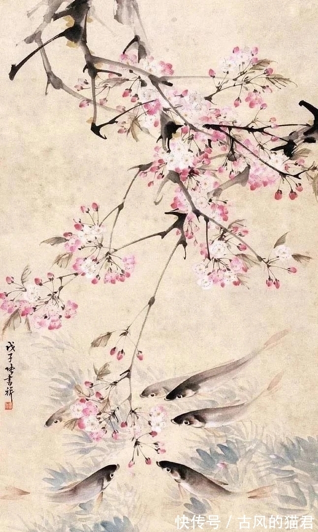 花鸟画!独特的魅力|张书旂花鸟画