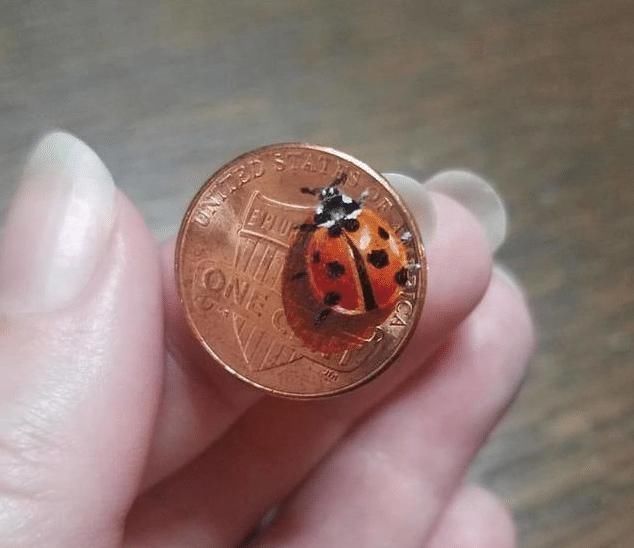 真美艺术家耗时40天,在小小的硬币上,画出了大千世界