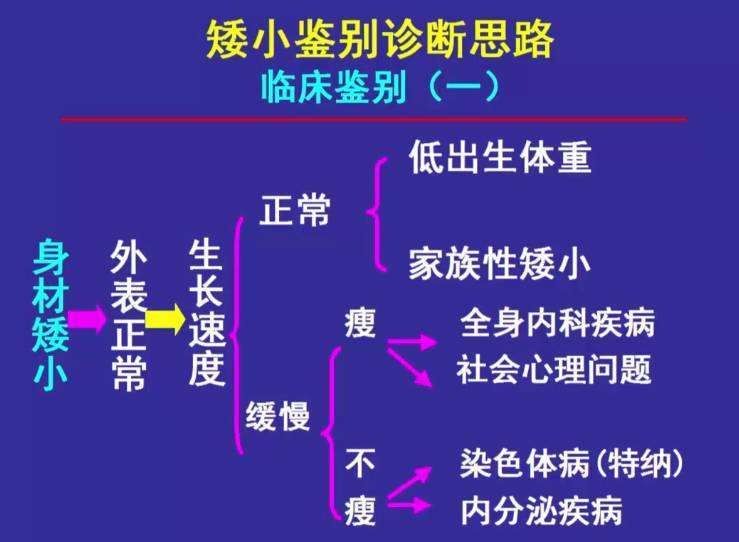 坏习惯|导致孩子矮小的原因有哪些呢？儿科医生：一分钟带你了解