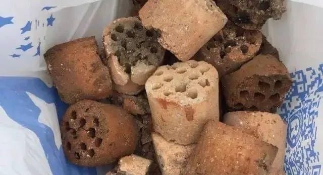 盆底|盆里扔2样东西,养花10年不烂根,叶子油光瓦亮,花苞挂满枝头