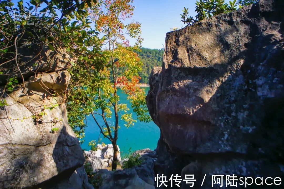 千岛湖景区|野猴伤人推人事件频发，为什么杭州千岛湖景区里的就那么听话？