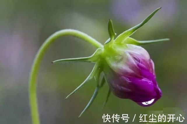 |年度挤进前十名的微信段子,笑死了,一起来看看吧