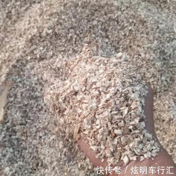 君子兰|3种“碎渣渣”,是养花的好材料,掺土里花儿蹭蹭长,开爆盆!